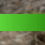 জার্মানিতে শীর্ষ ক্রিকেট খেলোয়াড়দের ব্যাটিং গড়