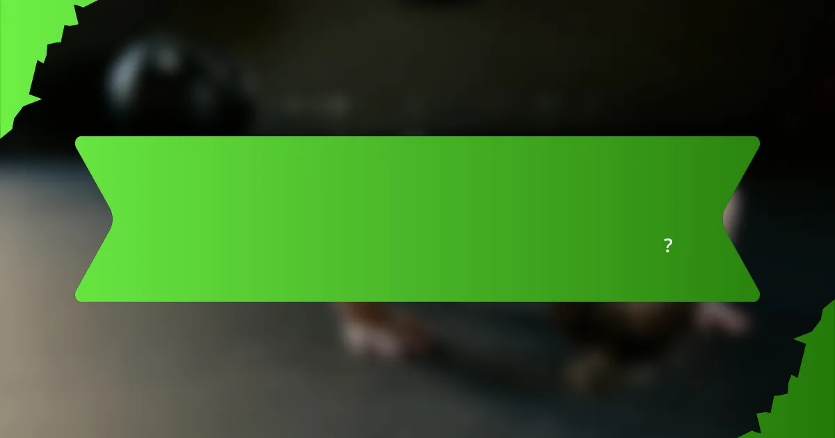 ক্রিকেট পারফরম্যান্স স্ট্যাটস ট্র্যাকার অন্যান্য ট্র্যাকিং টুলের সাথে কিভাবে তুলনা করে?