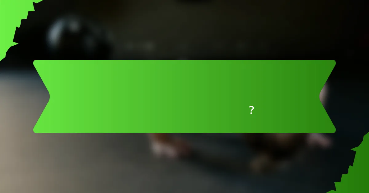 পোর্তগালের জন্য ক্রিকেট পারফরম্যান্স স্ট্যাটস ট্র্যাকার কী?